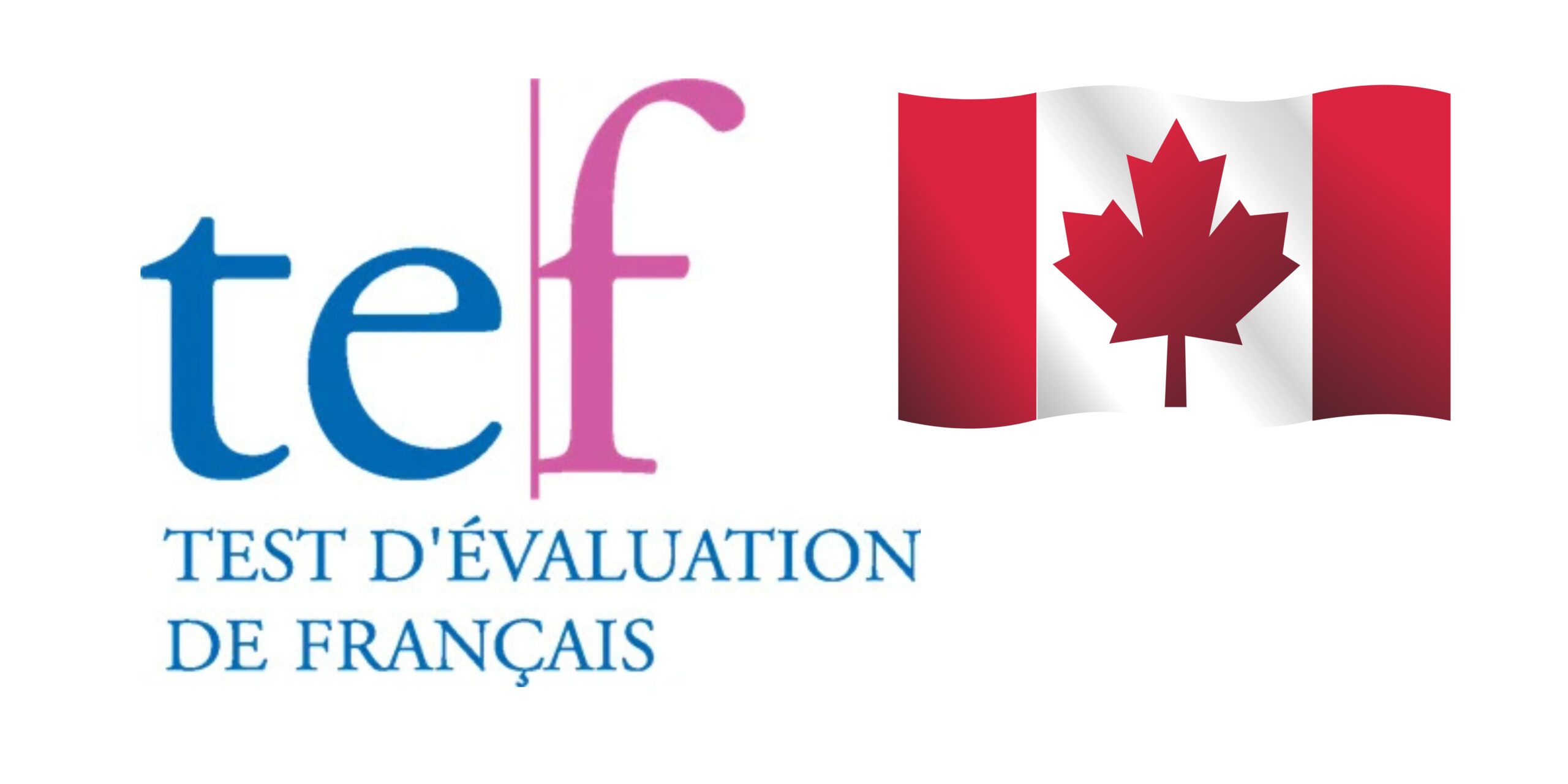 Test d’Évaluation de Français (TEF)